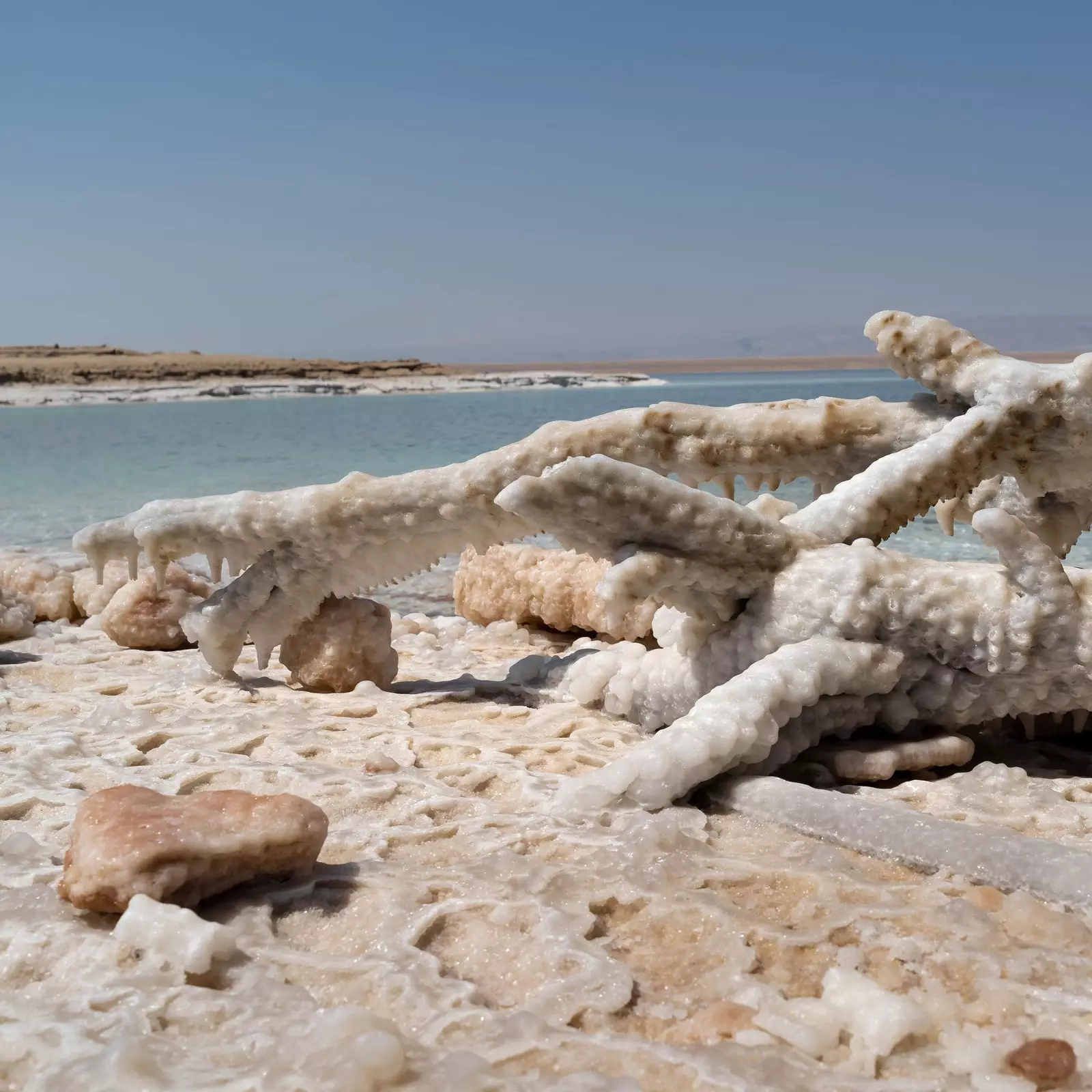 Ix-xtut tal-Baħar Mejjet fil-Ġordan