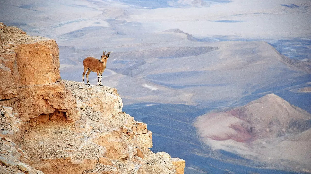 Röda öknen: en renande och magisk "road trip" genom Israel