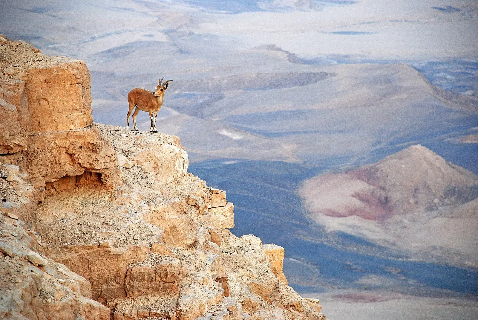 Jangwa jekundu 'safari ya barabara' ya kichawi na ya kichawi kupitia Israeli