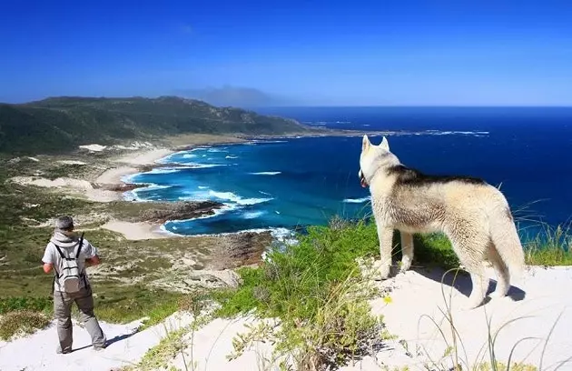 O Camiño dos Faros Google Street View қолданбасына келеді