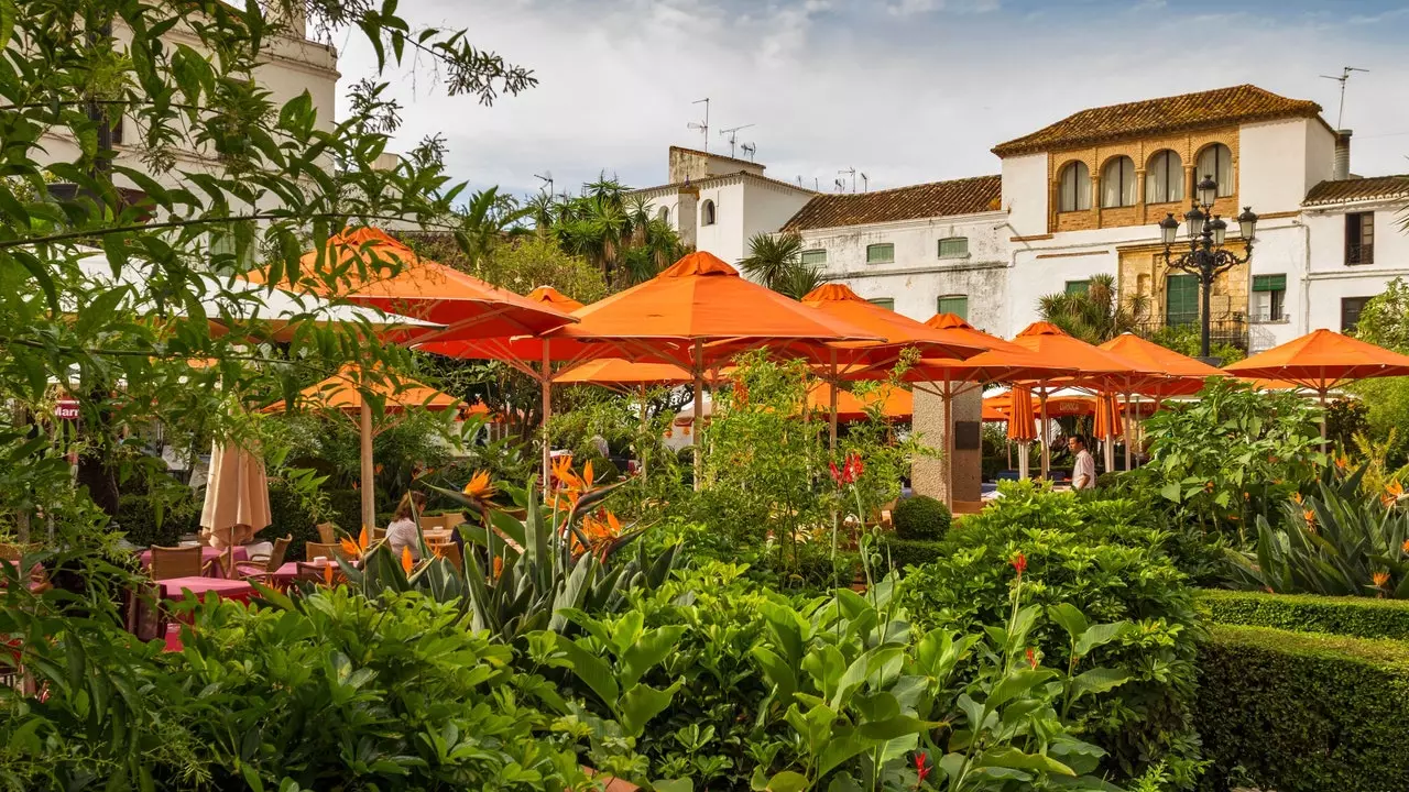 Het is tijd om verliefd te worden op Marbella