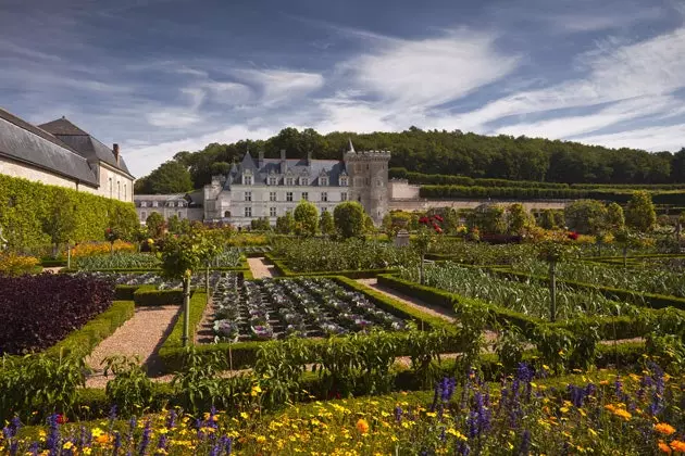 Hagene til Château de Villandry