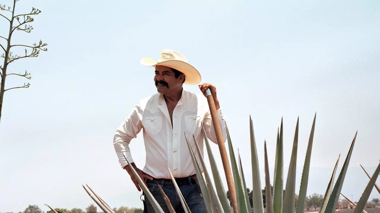 Tequila, utazás Mexikó legemblematikusabb italának bölcsőjébe