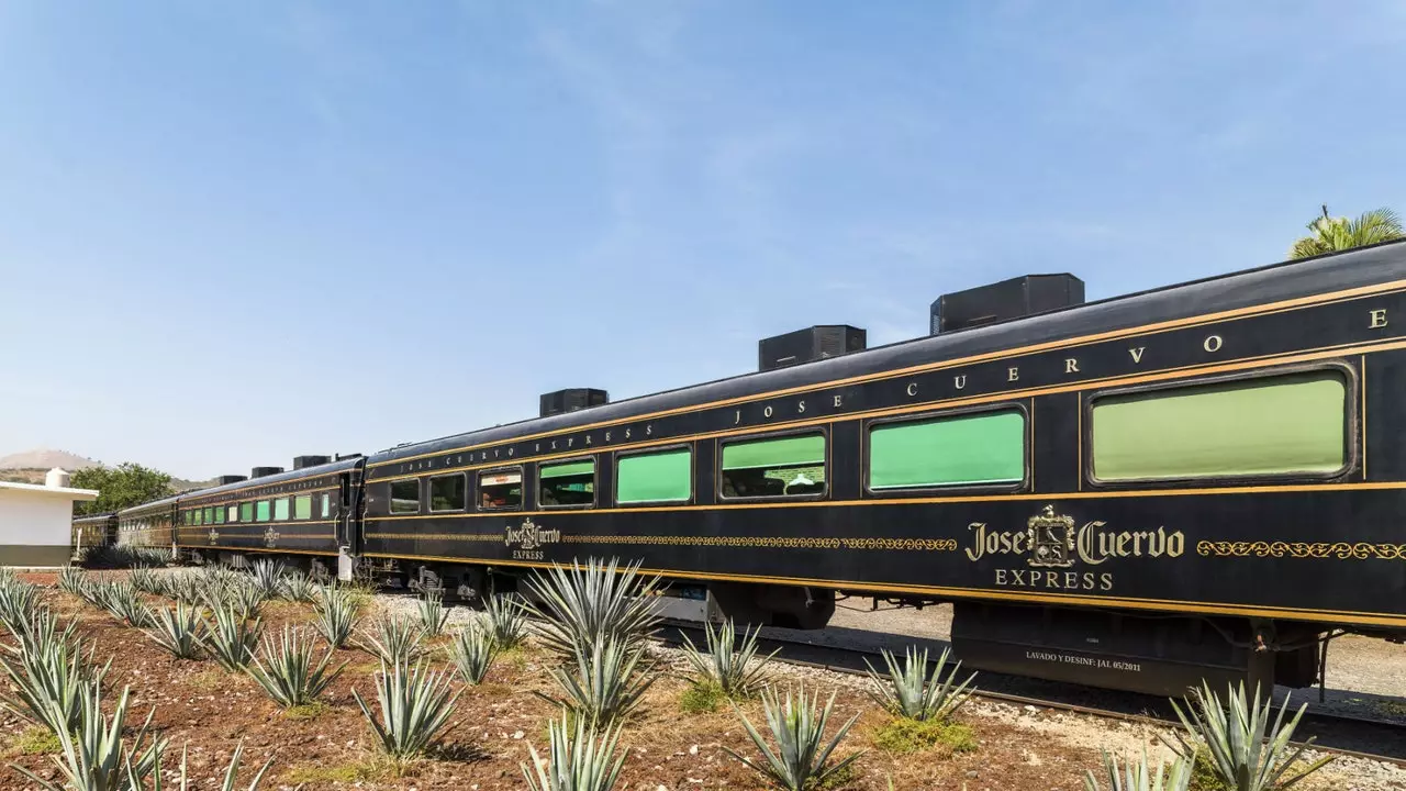 Jose Cuervo Express: treni ambayo inakupeleka moja kwa moja hadi tequila