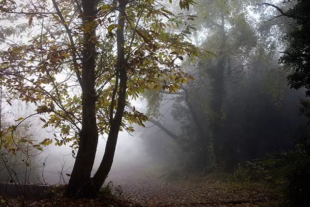 Undersök djupet av Garrotxa Volcanic Zone Natural Park