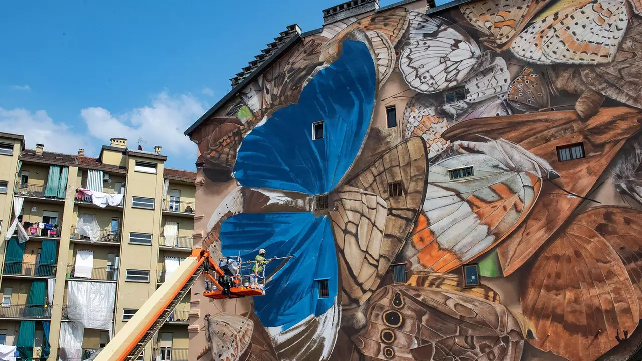 The artist who builds a hyper-realistic journey with his murals