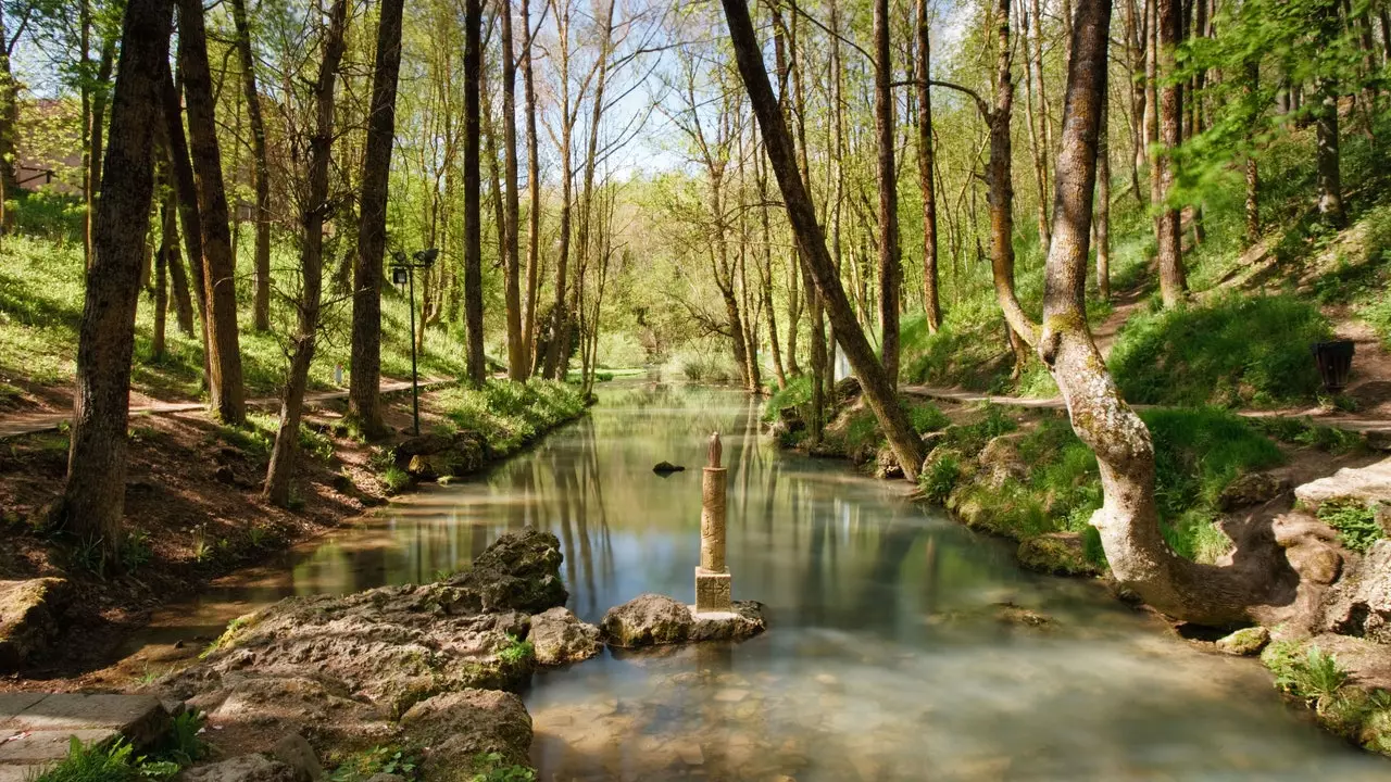 Campoo - Ebro မွေးဖွားရာနေရာ