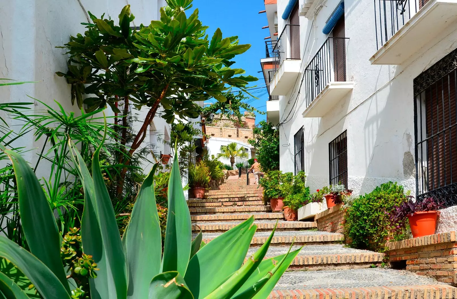 One of the streets of Salobreña