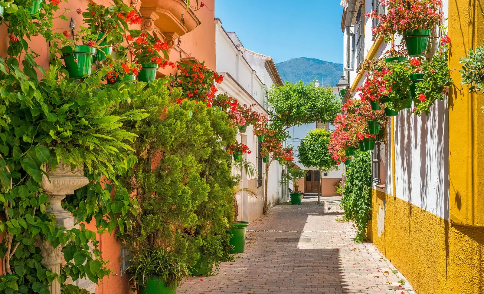 Kami tersesat di Estepona, taman Costa del Sol