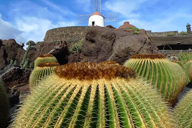 Cesar Manrique kaktusų sodas