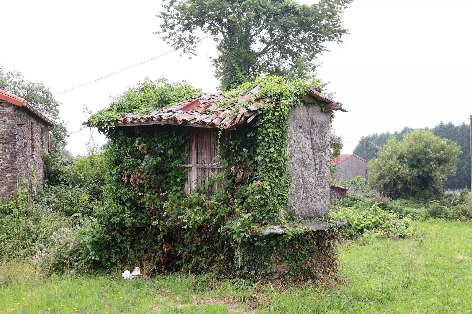 Žitnice su simboli ove zemlje