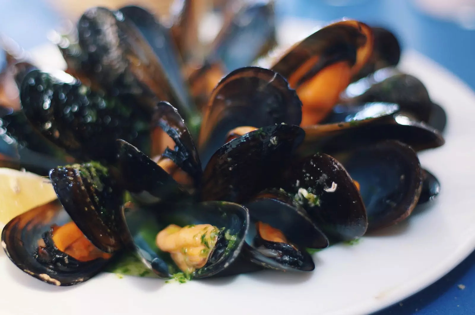 Moules Ca'l Patró