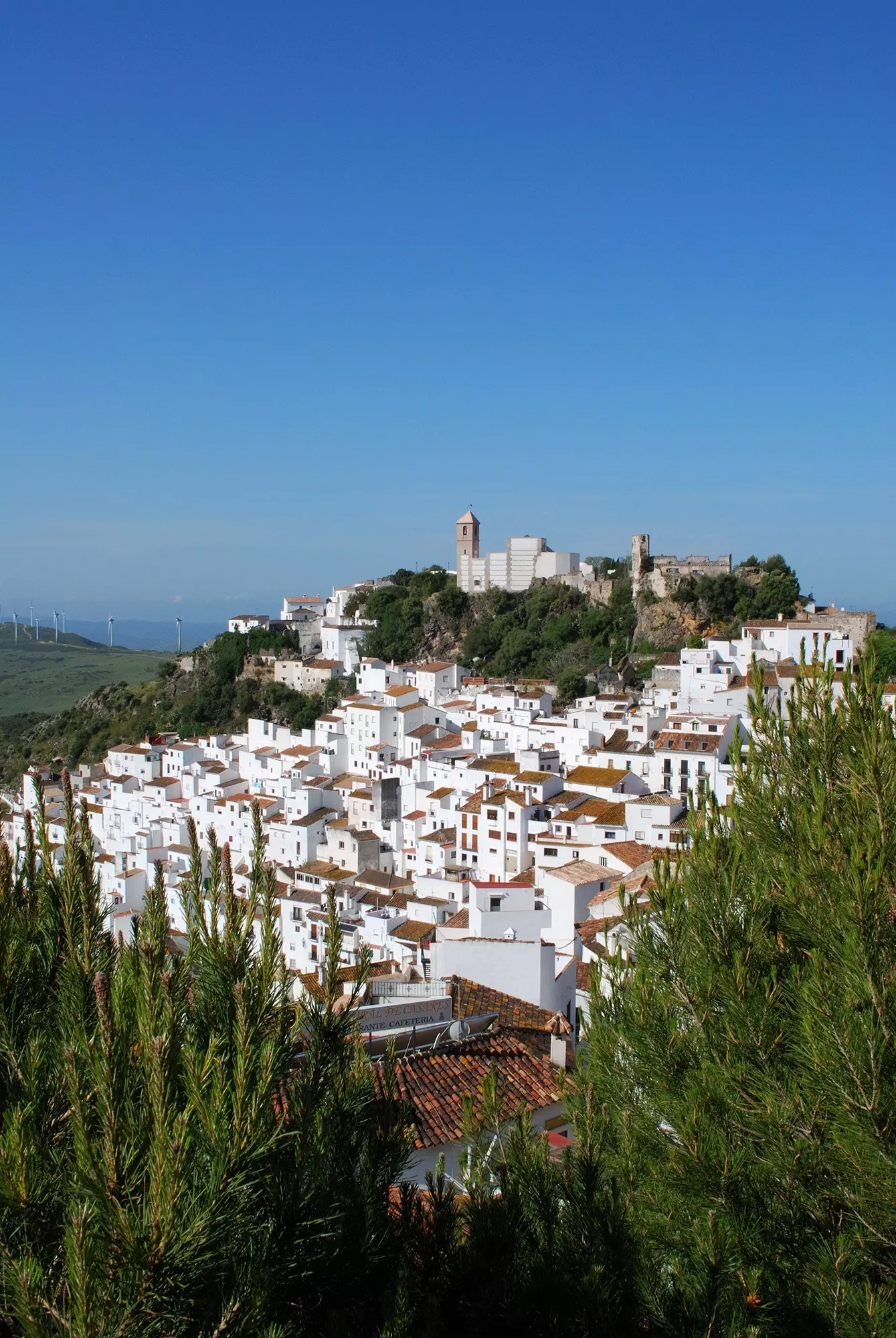 Casares