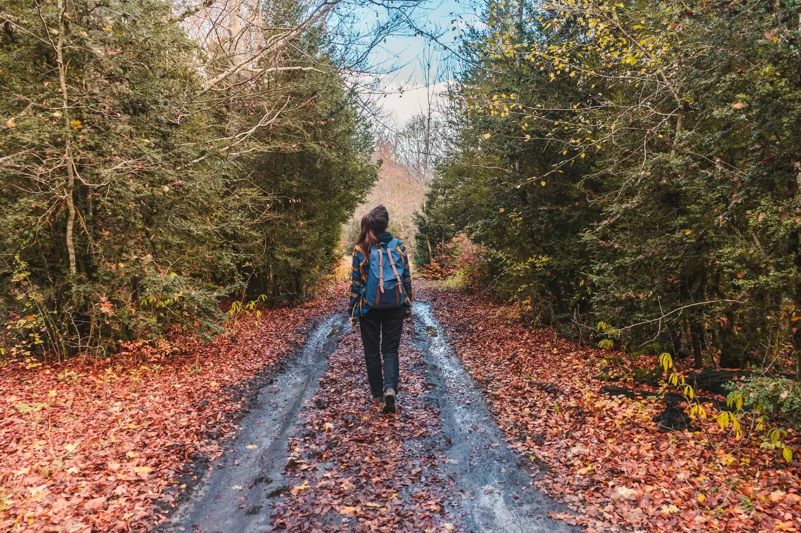 Sentier de la prêle à Ordesa