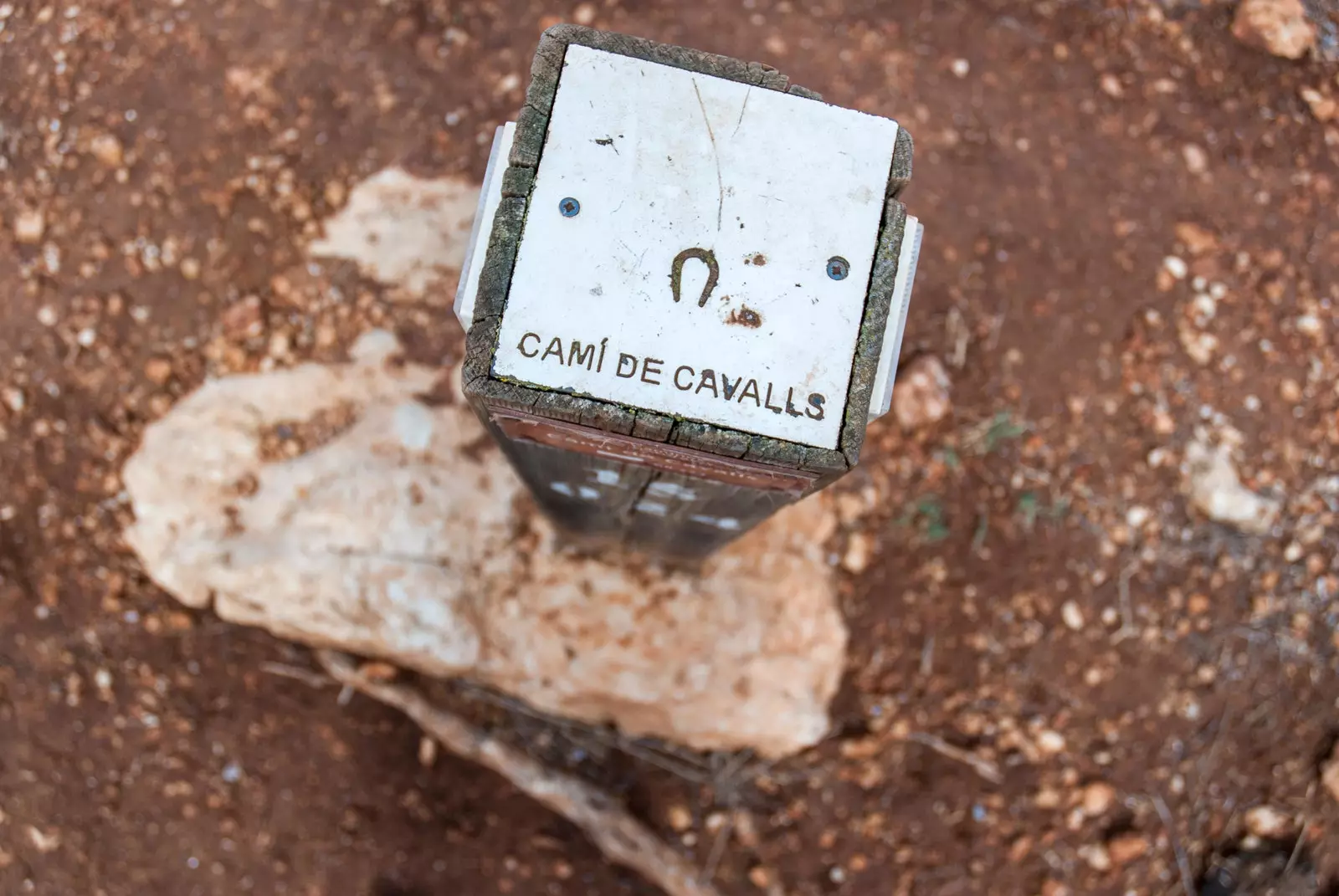 Camí de Cavalls η βασική φυσική διαδρομή στη Μενόρκα.