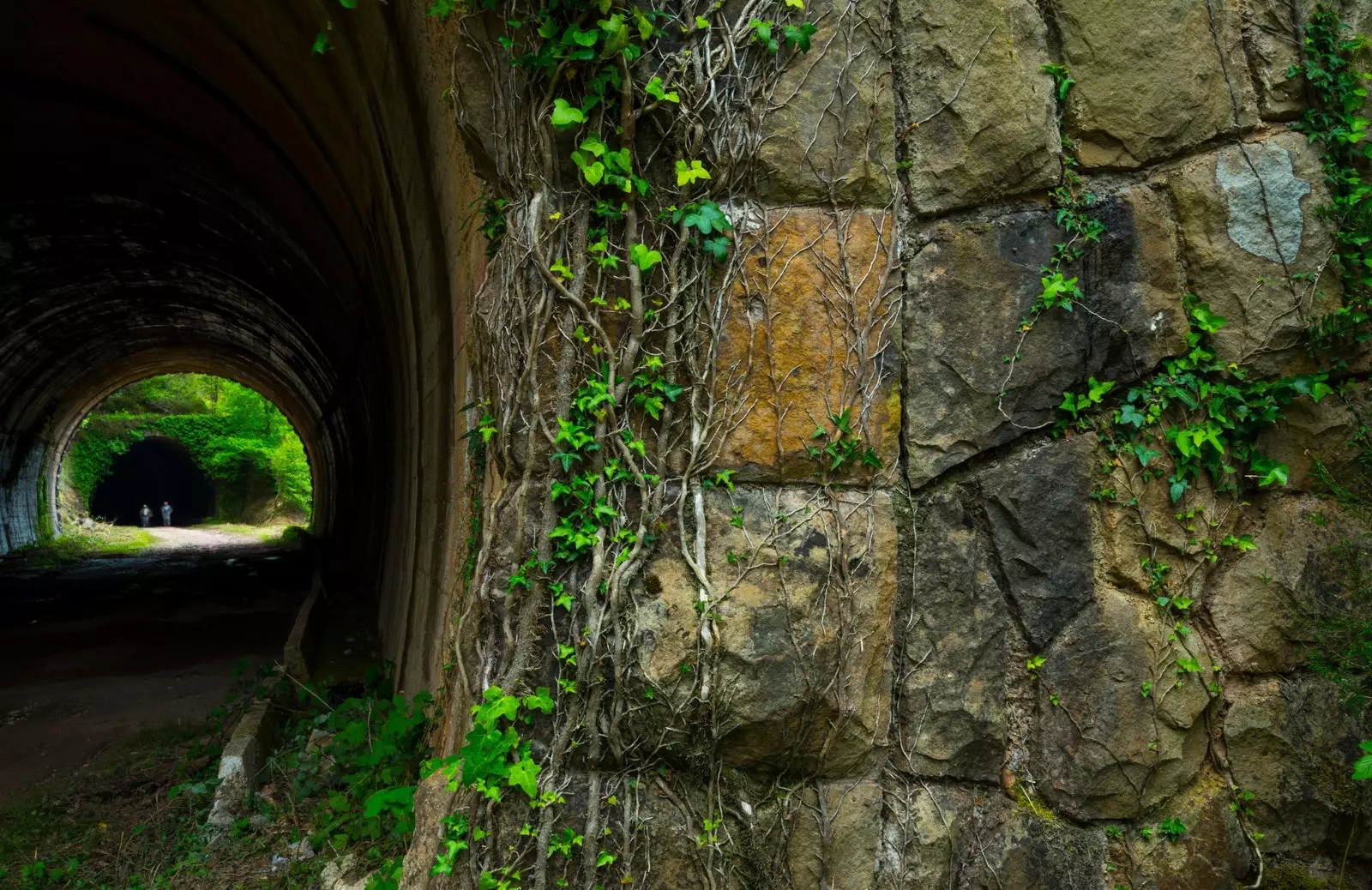 Engaña Vega de Pas Cantabrian tunneli.