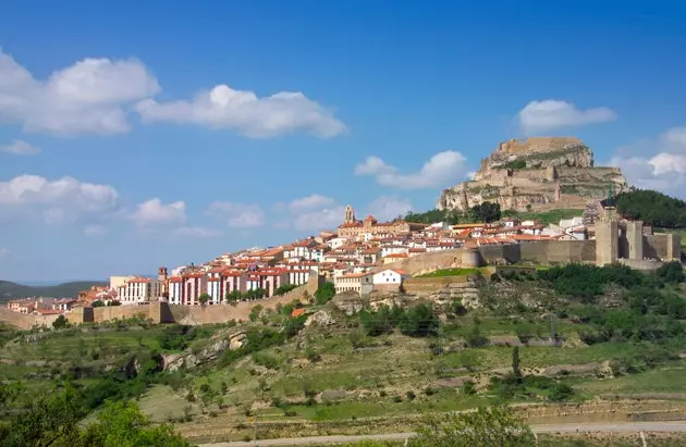 Morella