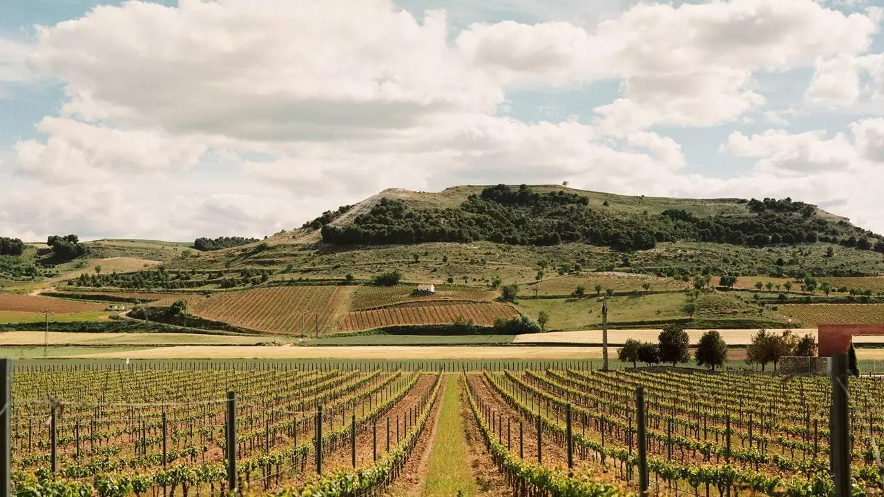 La vallée du Duero lance un road trip gastronomique