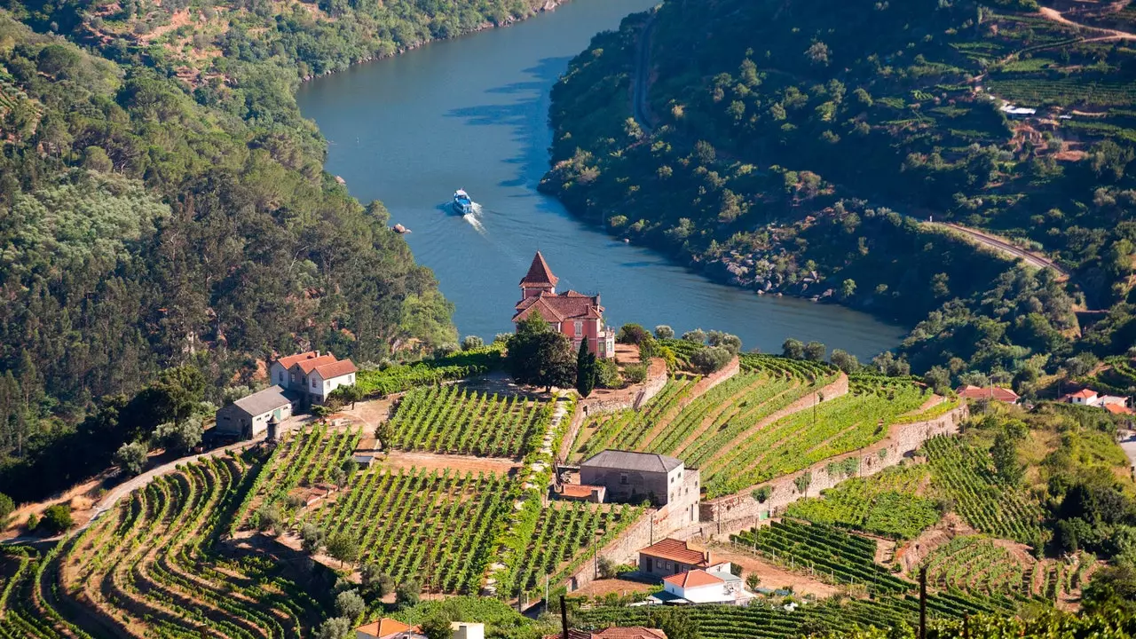 Gå tilbake til Douro