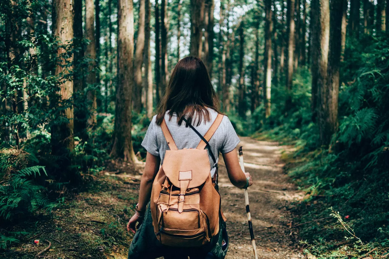 Semplice come camminare in silenzio nella natura