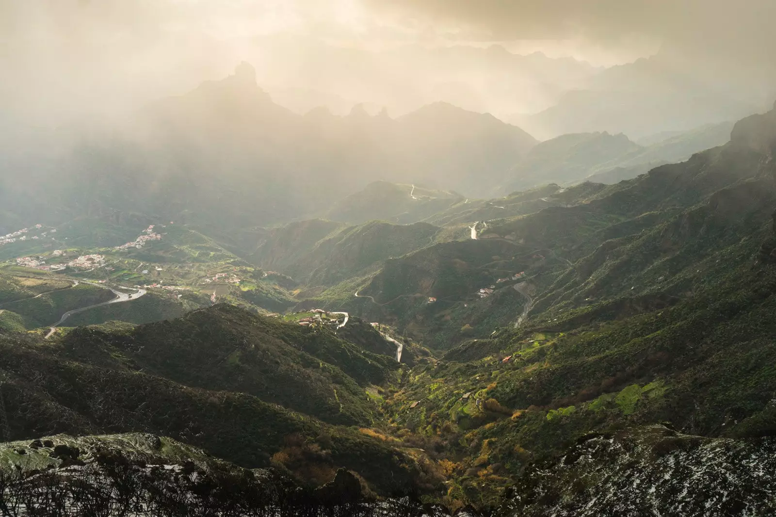 L'intérieur de la jungle verte de Gran Canaria