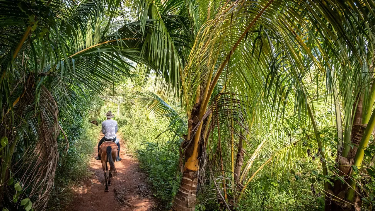 Cuba kwa kasi yako mwenyewe: kituo cha pili, Viñales