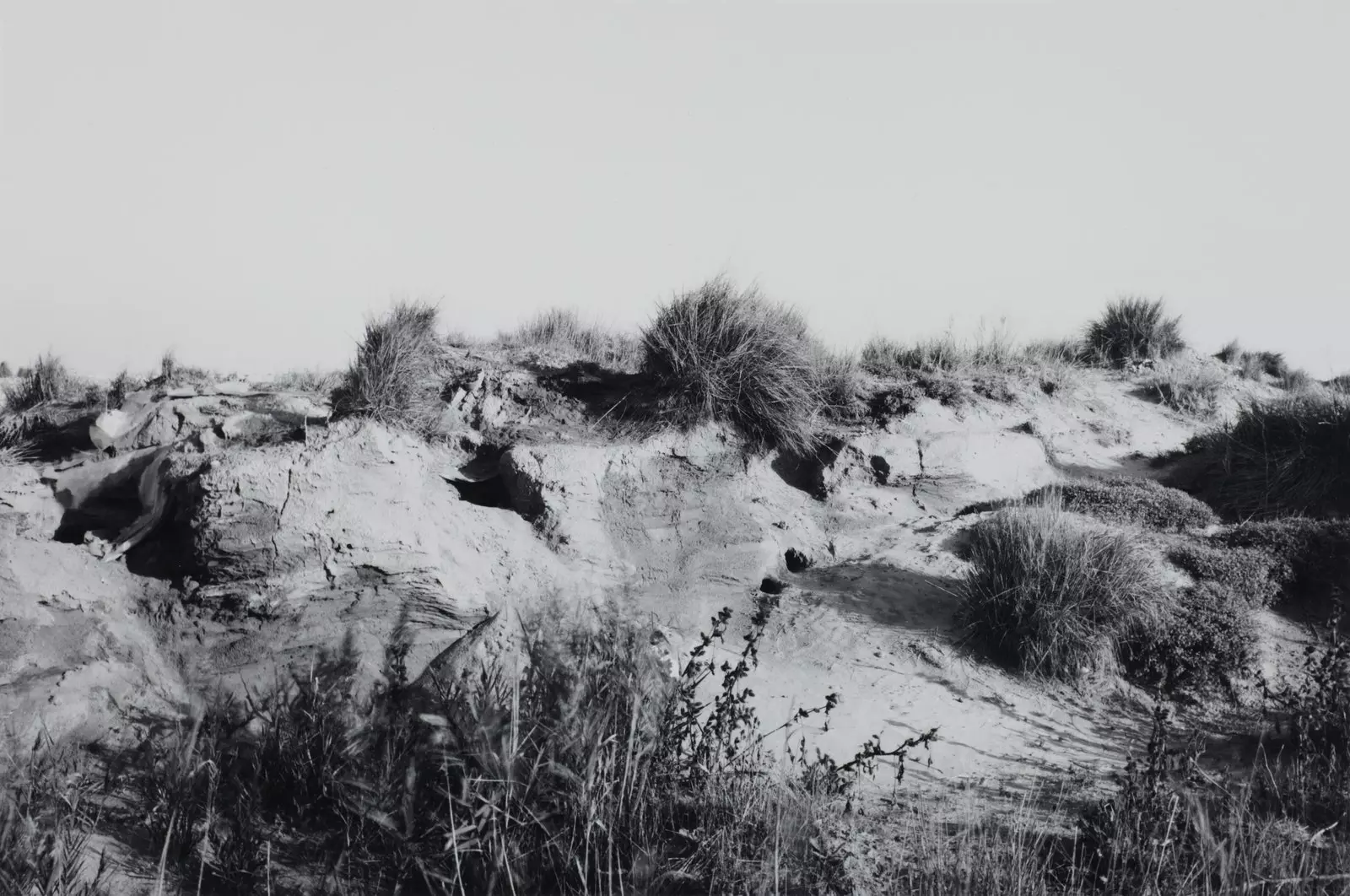 Lewis Baltz Fotografie, die eine felsige Landschaft mit Gestrüpp in Schwarzweiß zeigt.