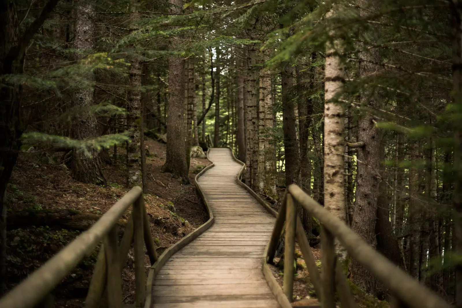 Parc national d'Aiguas Tortas