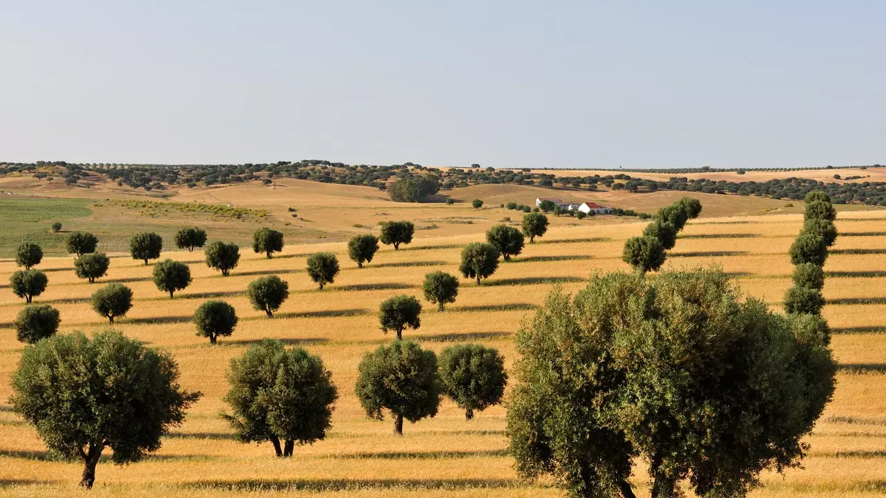 Bealach tríd an Alentejo na Portaingéile (I): Baixo Alentejo