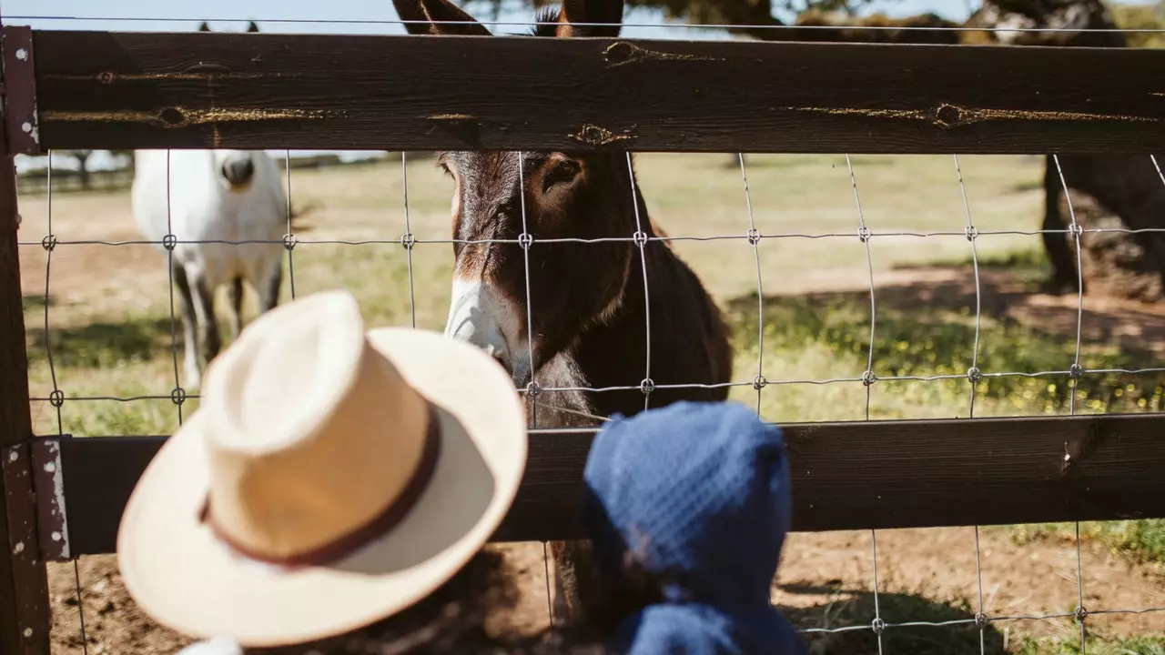 5 steden om te verblijven in het binnenland van Alentejo