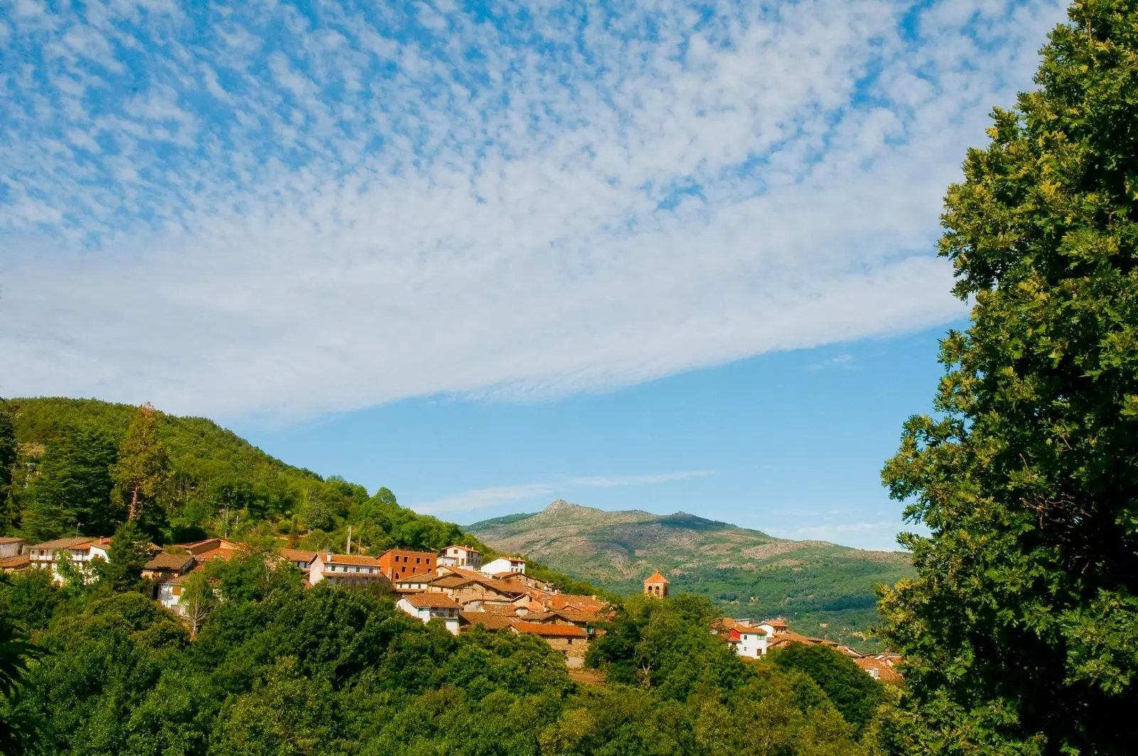 Candelario Panoramic