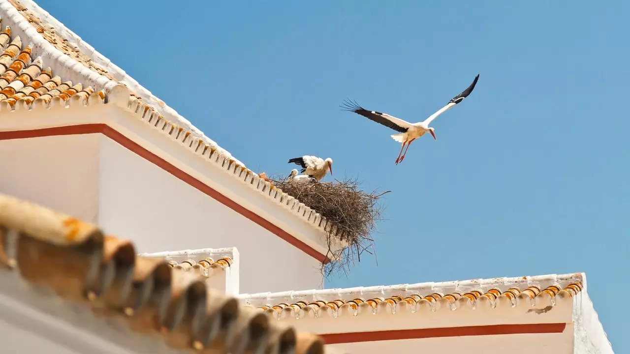 10 gastronomesch Grënn La Siberia Extremadura ze besichen