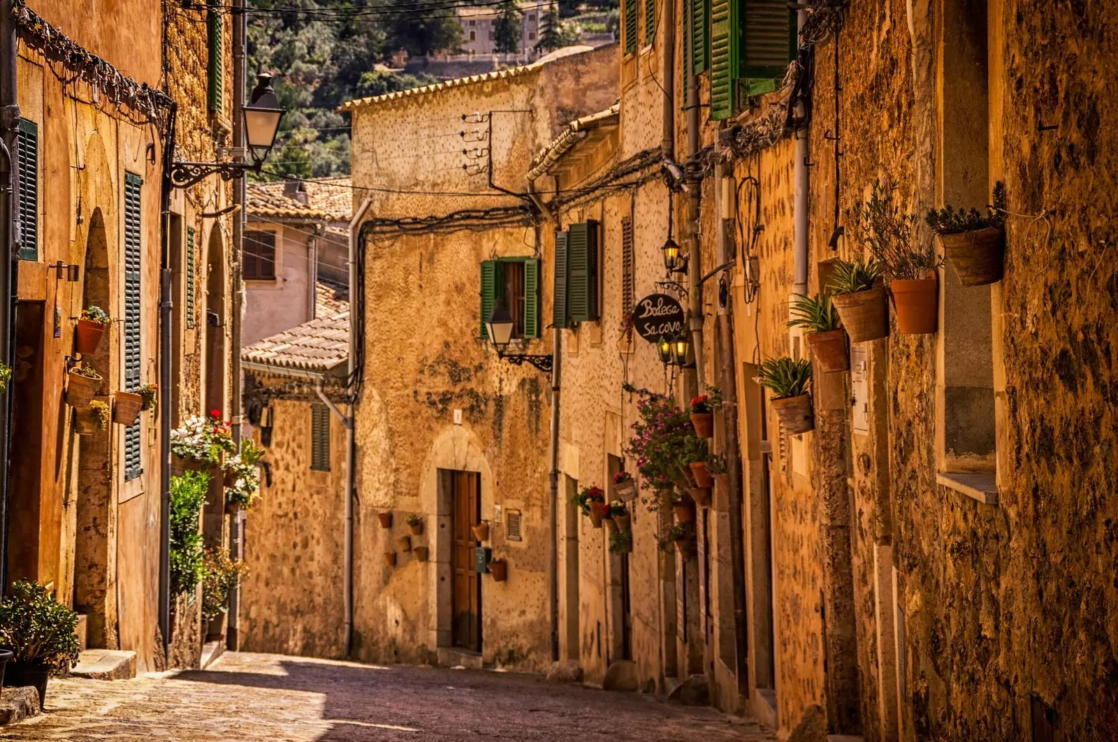 Straße von Valldemossa Mallorca