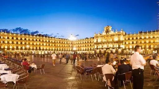 Coses que no perdre's de Salamanca (a part de la granota)