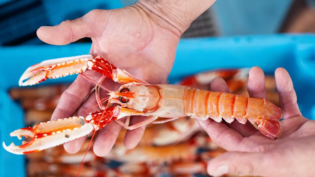 Damak tadında Costa Brava: gastronomisinin özünde yolculuk