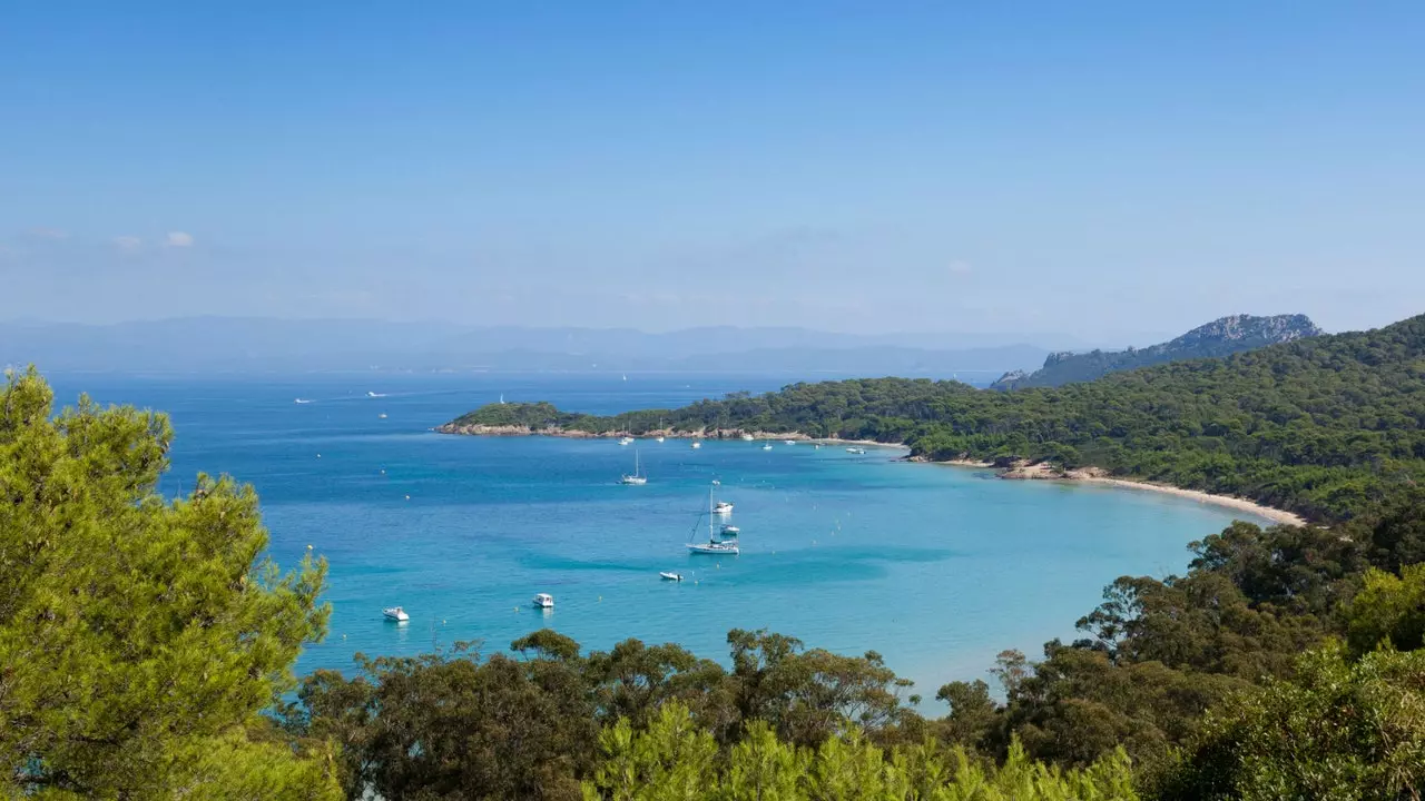 Porquerolles Island, plávajúci umelecký les na juhu Francúzska