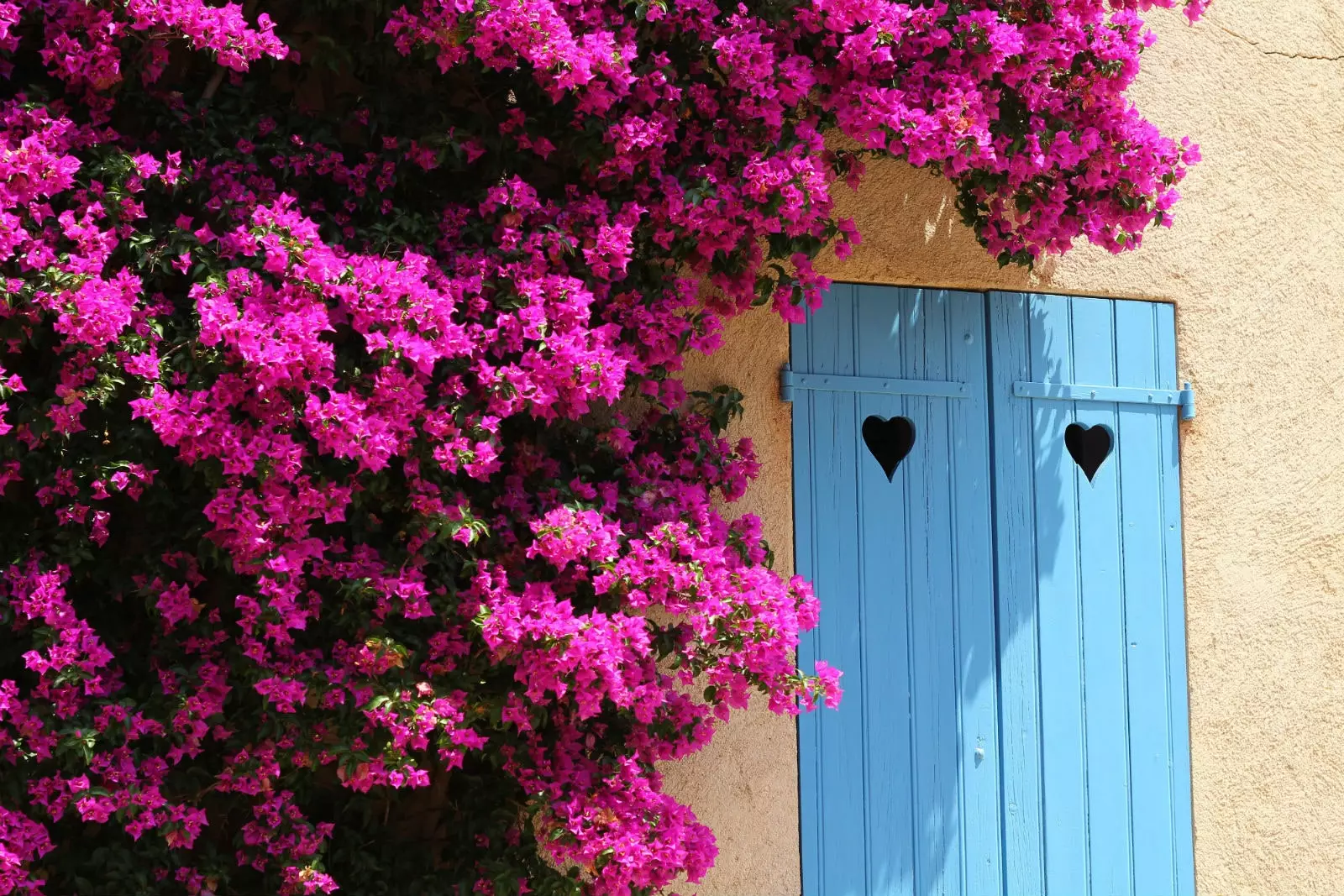 Güzel Porquerolles adası.