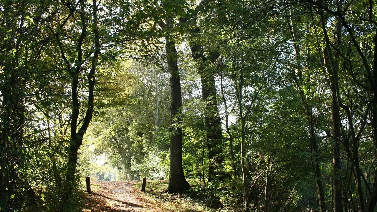 Ponad 3000 km zielonych szlaków jest teraz dostępnych w Mapach Google