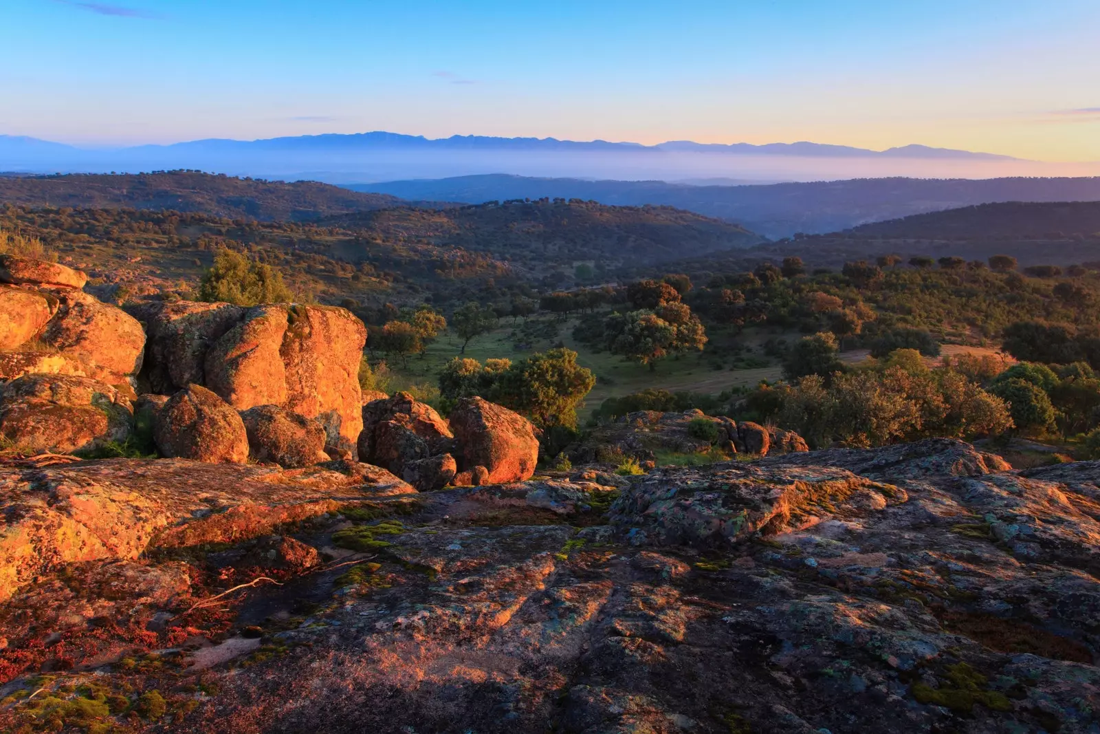 Φυσικό Πάρκο Sierra de Andújar Ιαν.