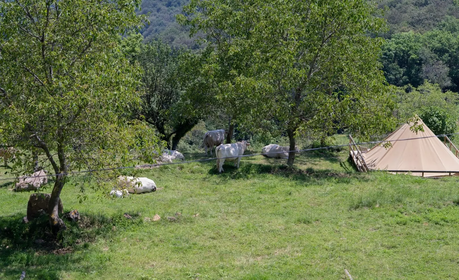 Глемпинг палатки в Cabanyes entre vallls.