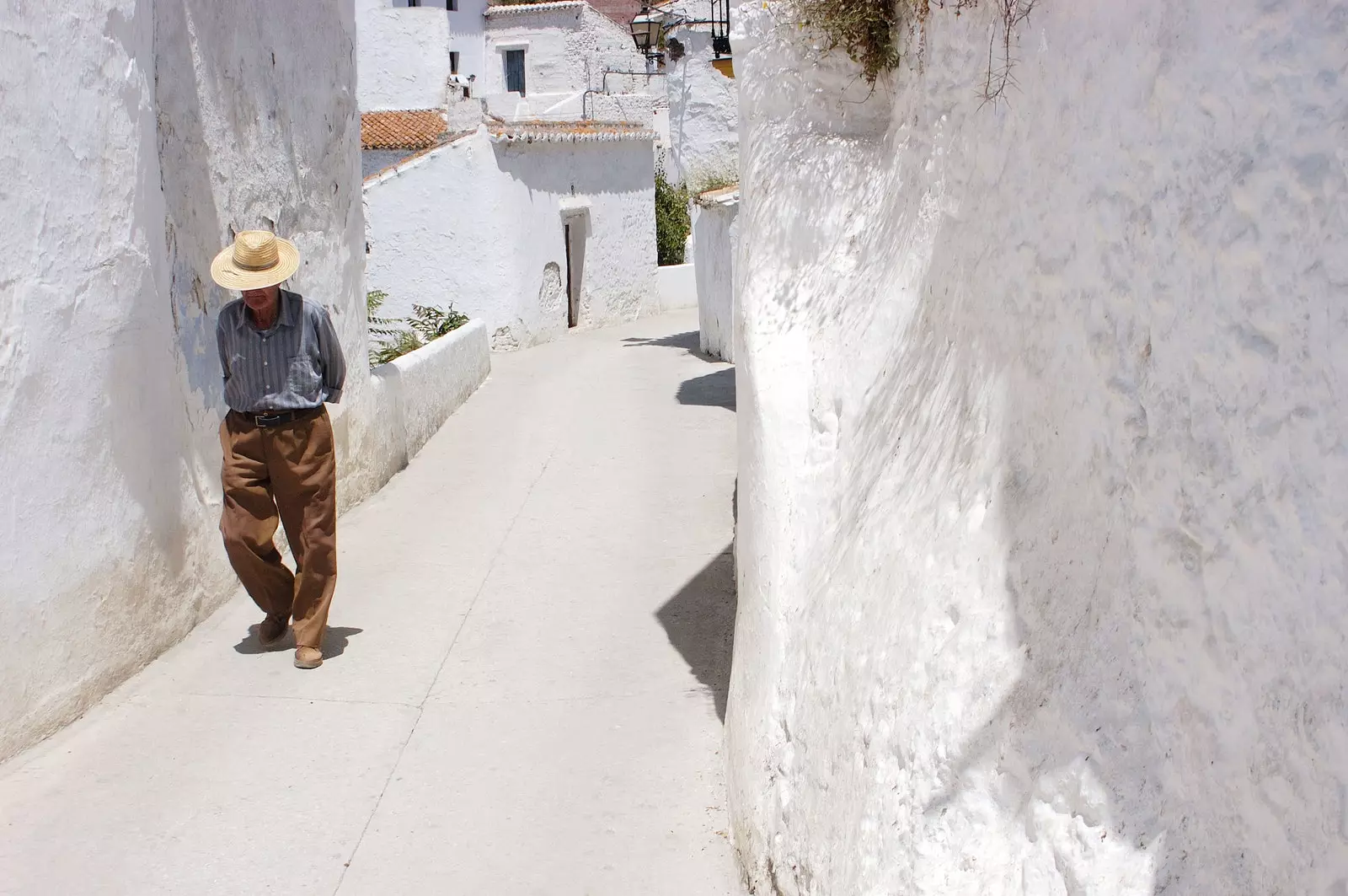 Árasáin salainn i Malaga