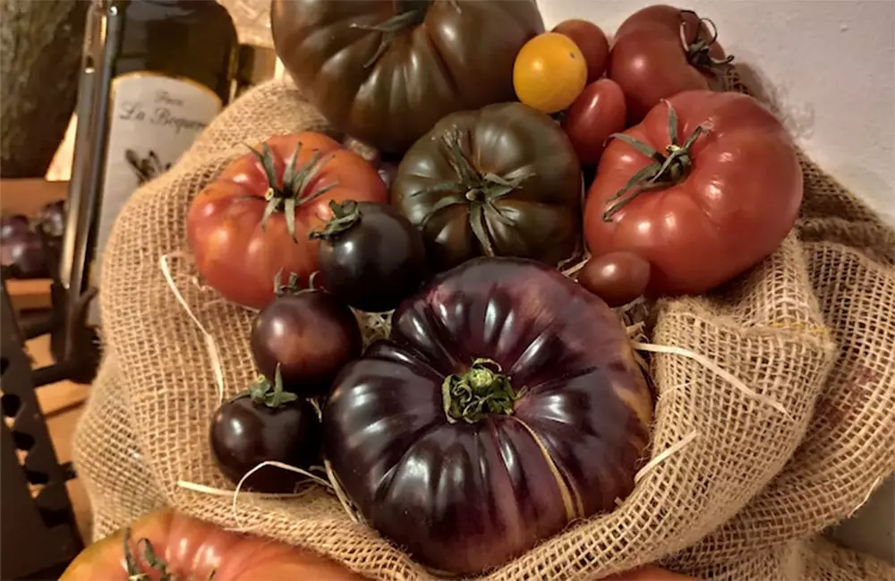 Pomodori sì al sacco. Qualità con gusto e ad un buon prezzo