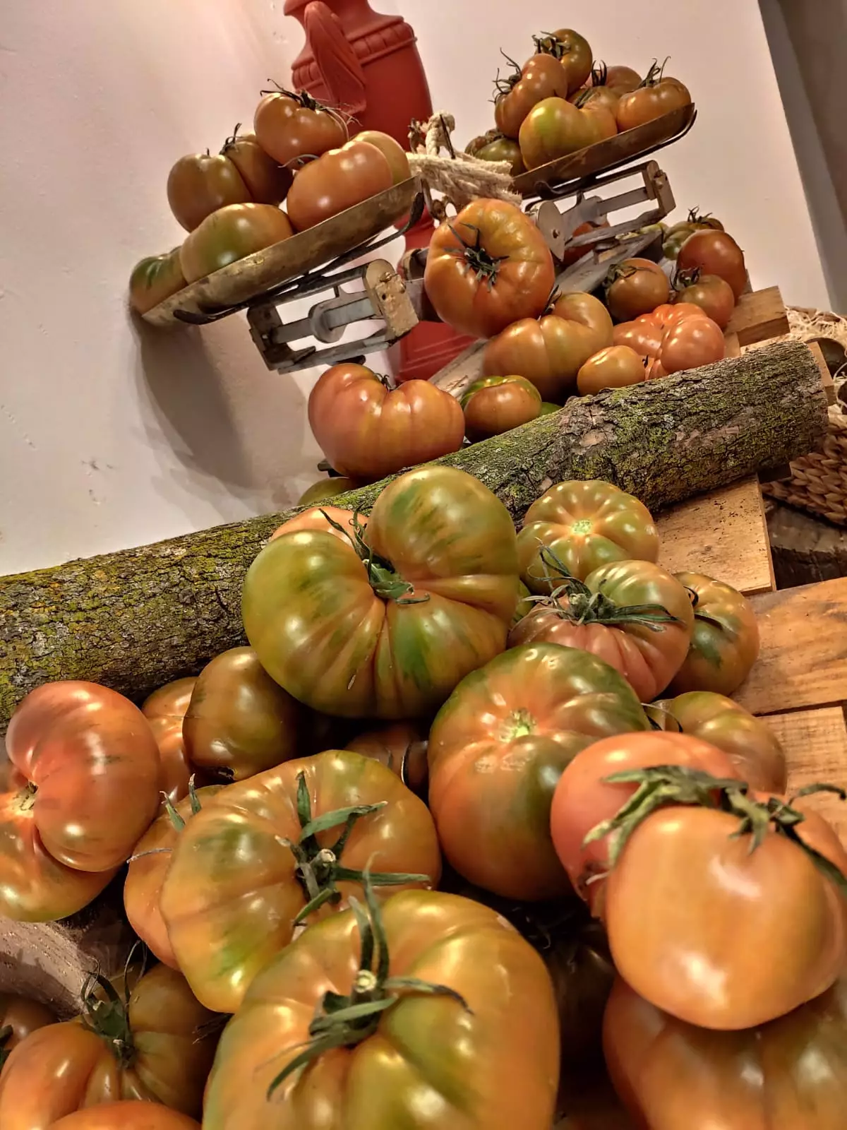 Tomato dari El Colmado del Tomate