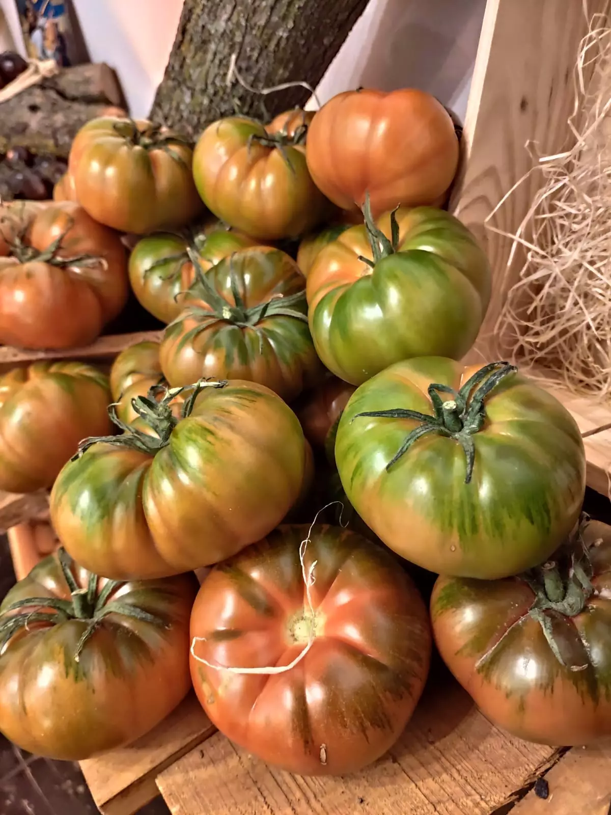 Tomaten von El Colmado del Tomate