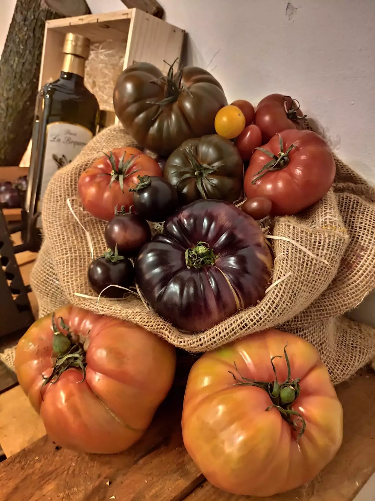 Pomodori di El Colmado del Tomate