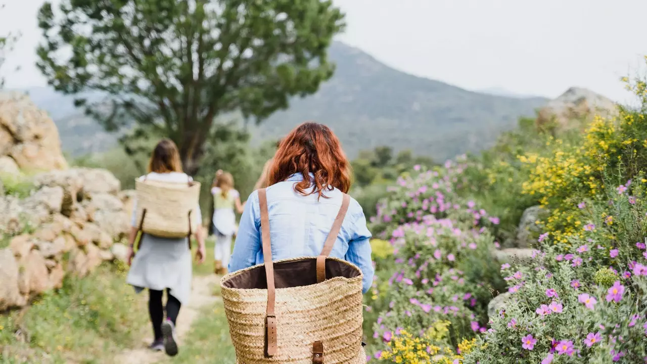 Caminhadas para cheirar as plantas: estas são as escapadelas para se desligar da natureza