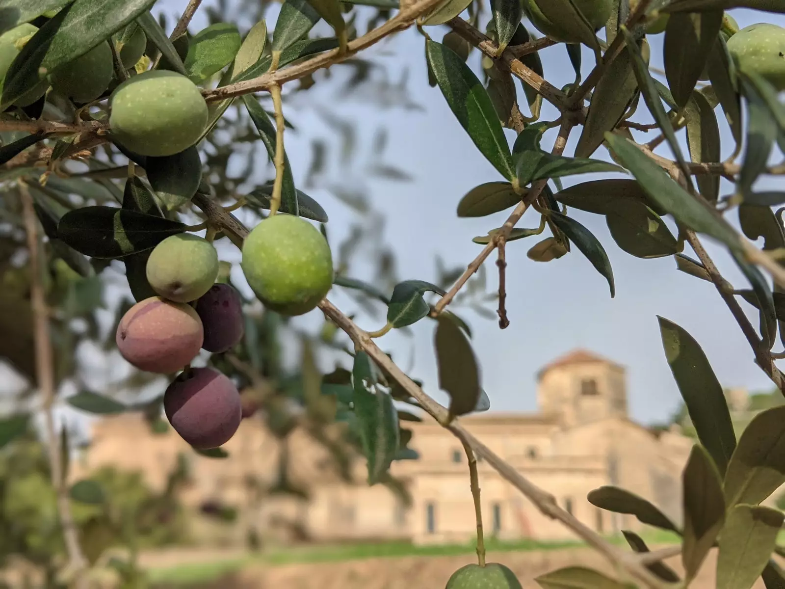 ترکیبی بین خانه روستایی و بوتیک هتل.