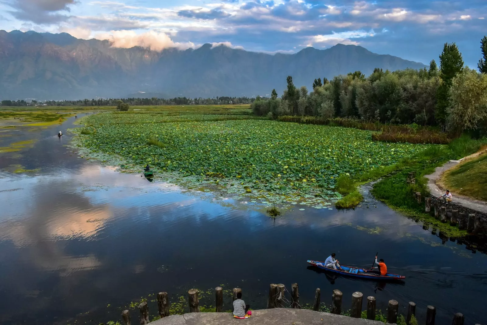 O barcă tradițională traversează lacul Nigeen din Srinagar India