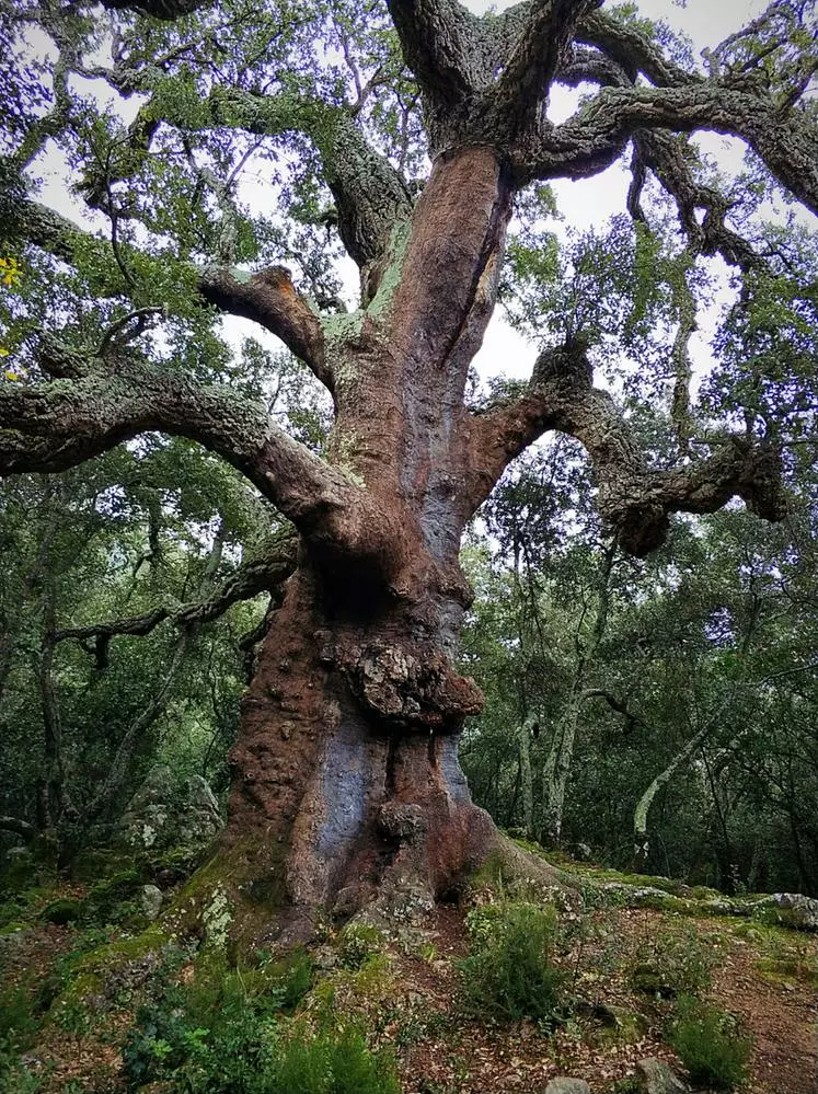 Ó dheas ón bPobal.