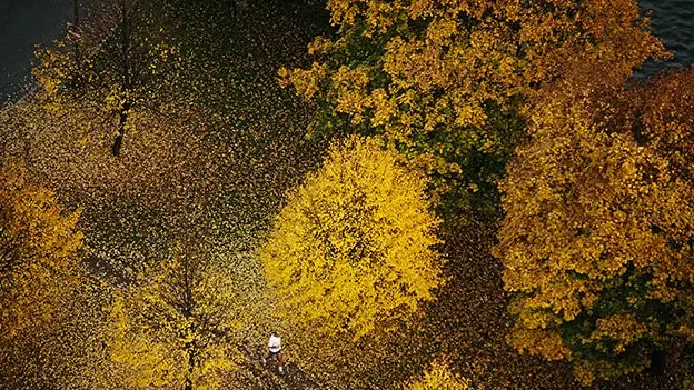 Het Amerikaanse 'blad': zo geniet je professioneel van de herfst